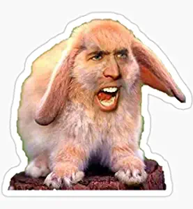 Sticker Decal_