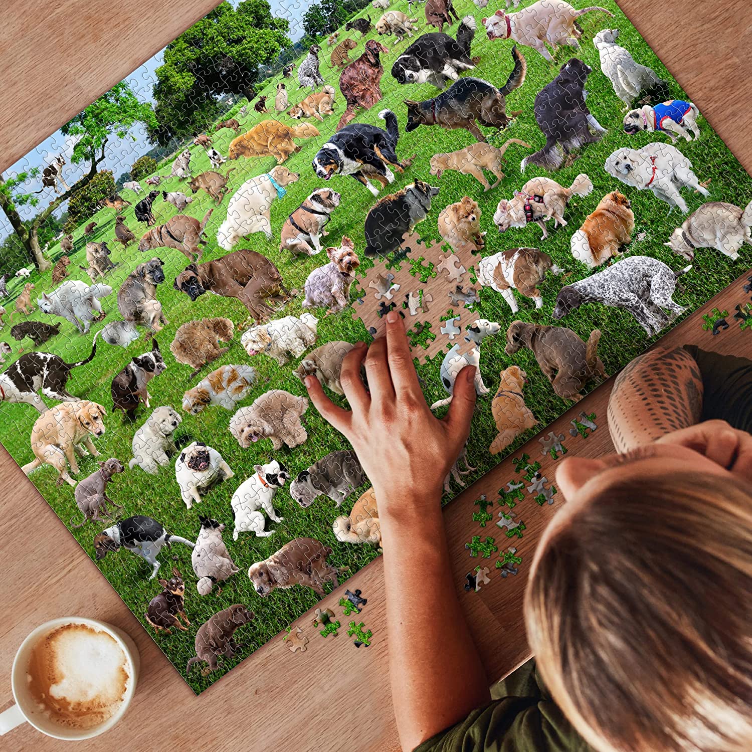 Dogs Pooping Puzzle