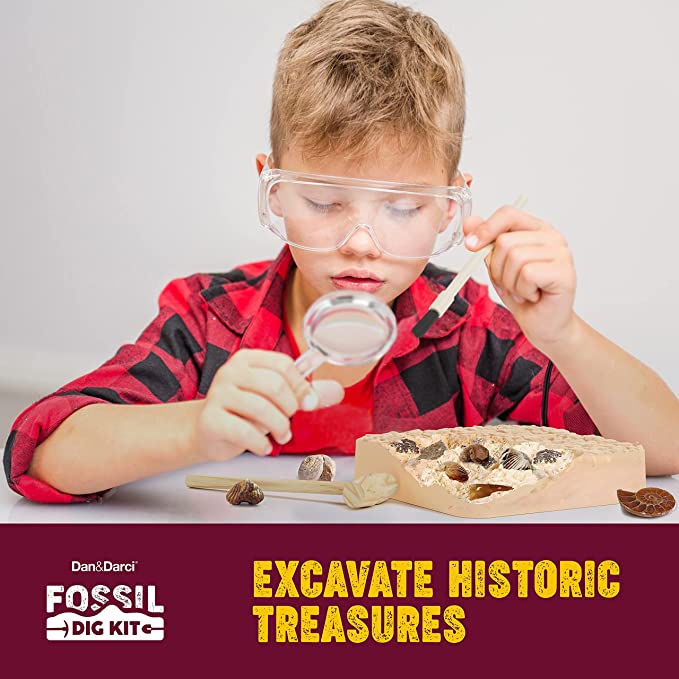 Fossil Dig Kit