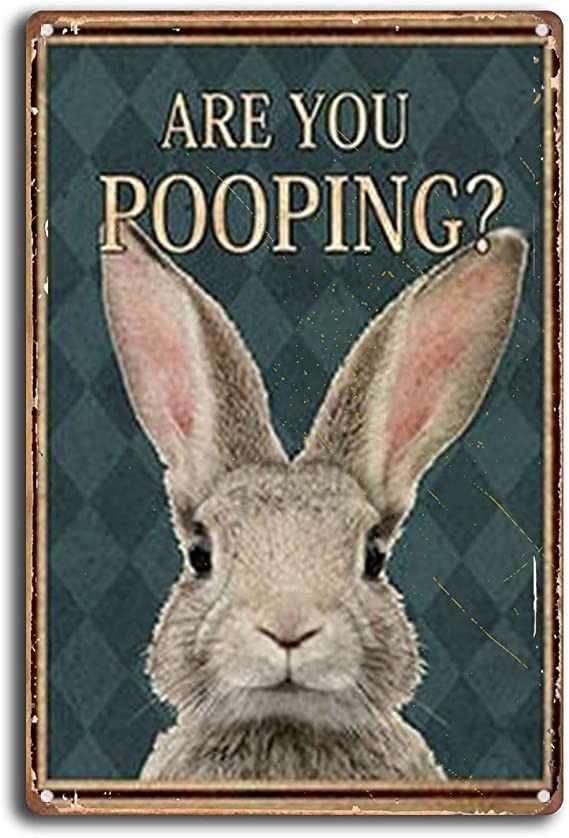 Poster Funny Rabbit Decor