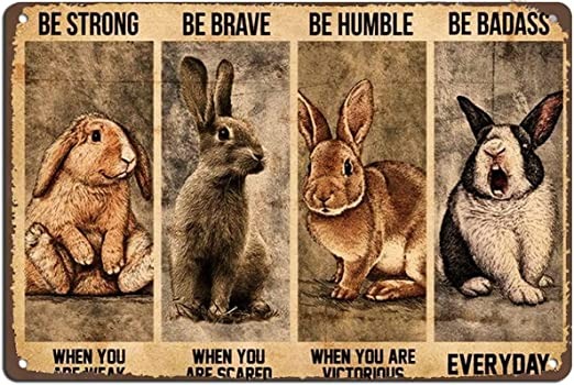 Wall Decor Bunny Rabbit Poster