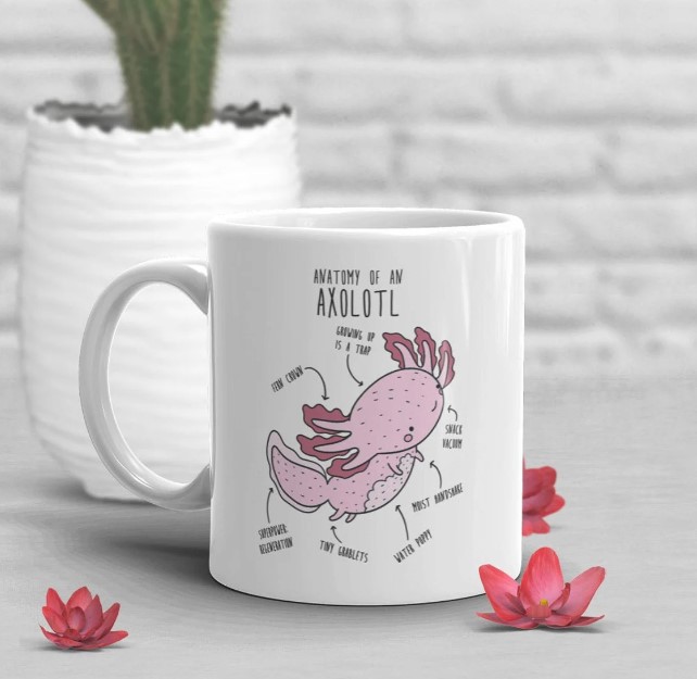 Personalised AXOLOTL Latte Mug | Cute Axolotl Cup | Watercolour Axolotl,  Gift for Niece, Nephew, Grandma, Auntie, Sister gift | Cute Axolotl