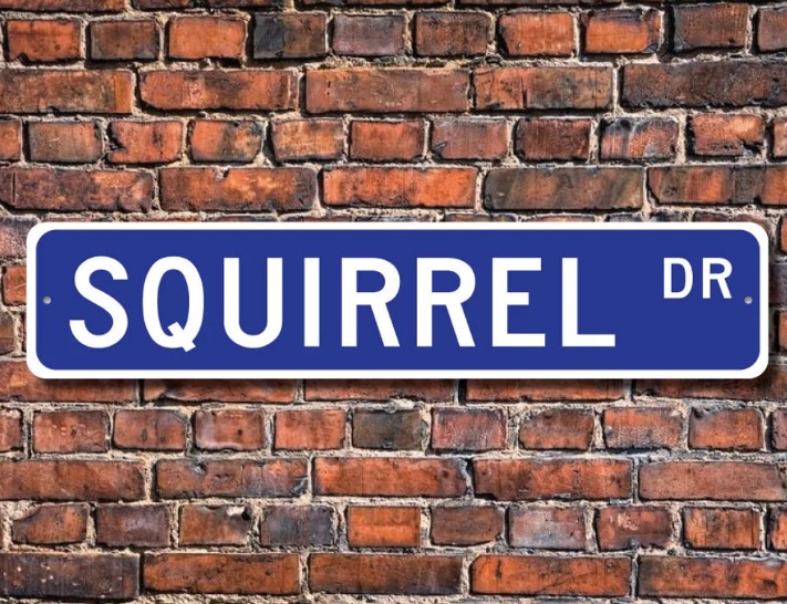 Squirrel Sign