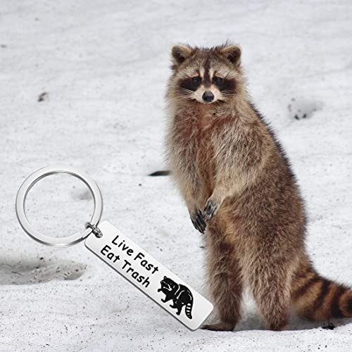 Cute raccoon stickers, Raccoon Lover Gifts, Kids Raccoon Dec - Inspire  Uplift