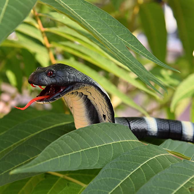 Remote Control Snake Toy