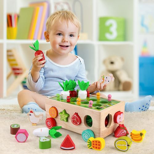 Montessori Wooden Garden Toy