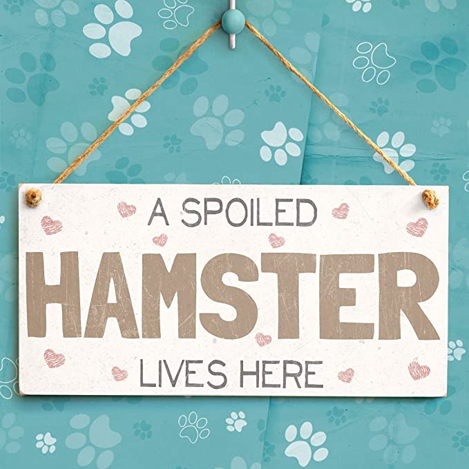 15 Gifts for Hamster Lovers & Owners - Adults & Kids, Animallama in 2023