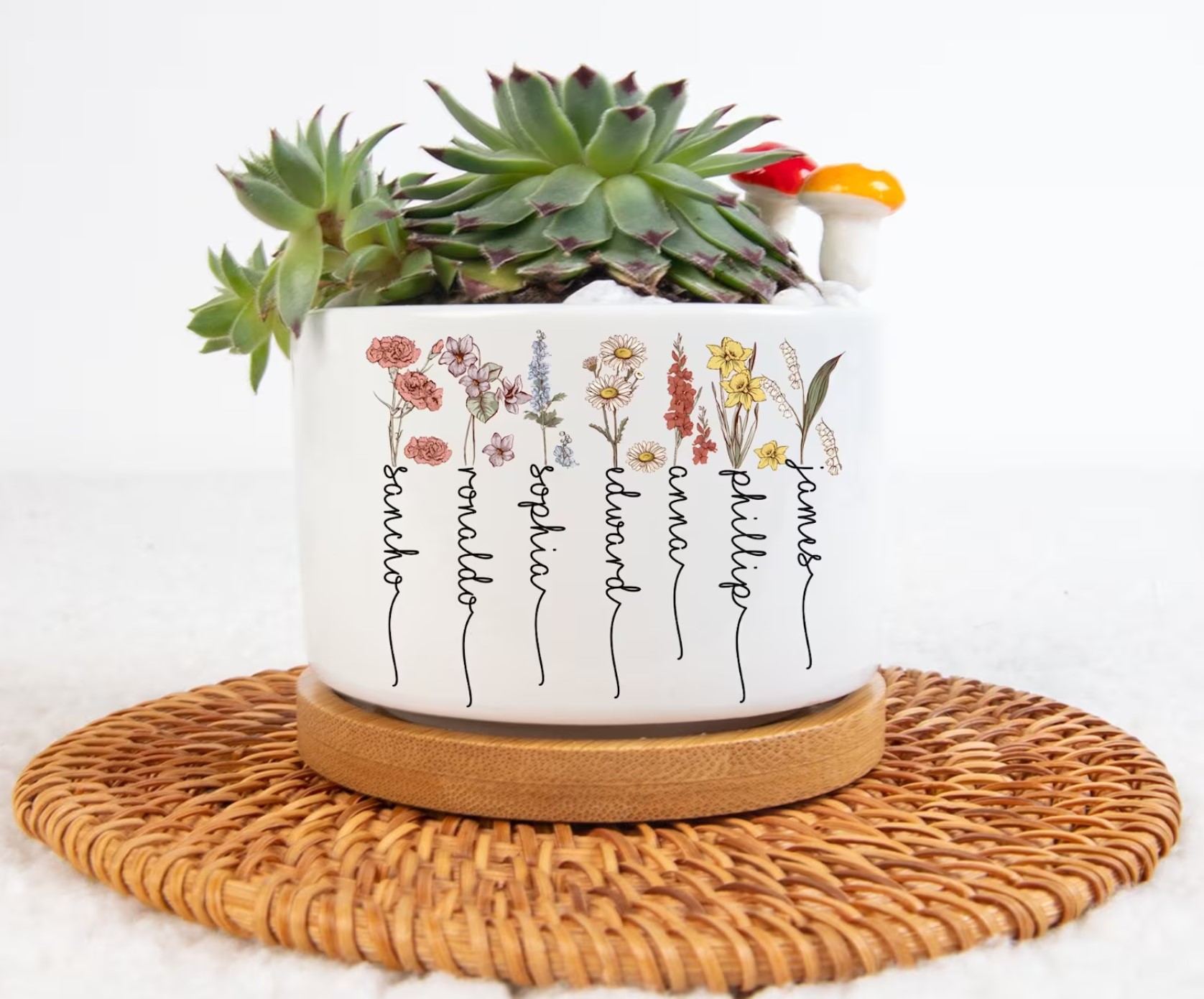Mini Plant Pot