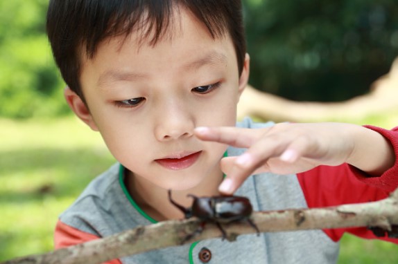 Catch and Learn about Insects