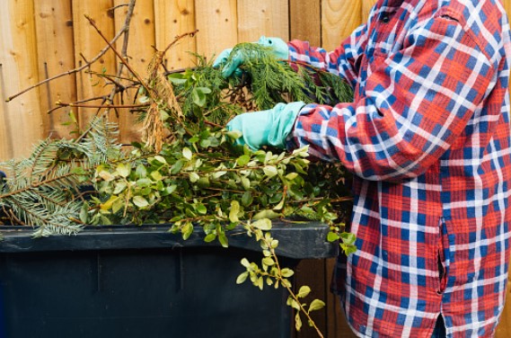 Garden Cleaning