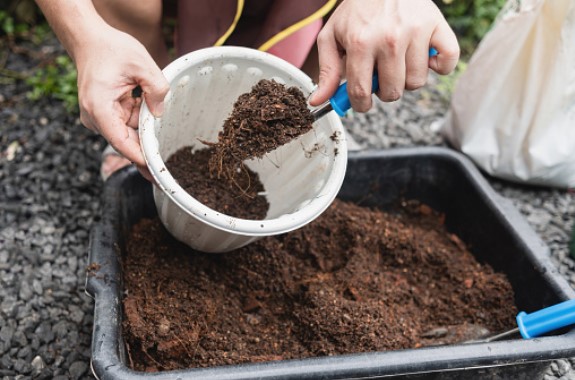 Composting The Soil