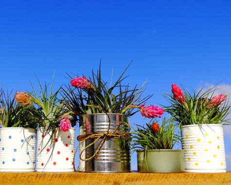 Tin Can Flower Pots
