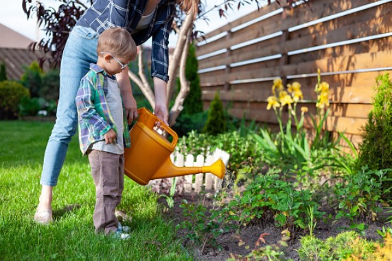 Child Safety in the Garden