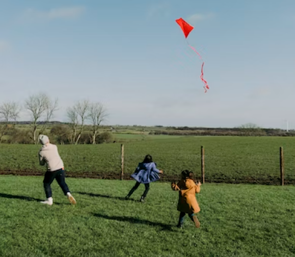 Fly Kites