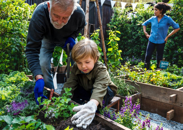 Gardening Together 