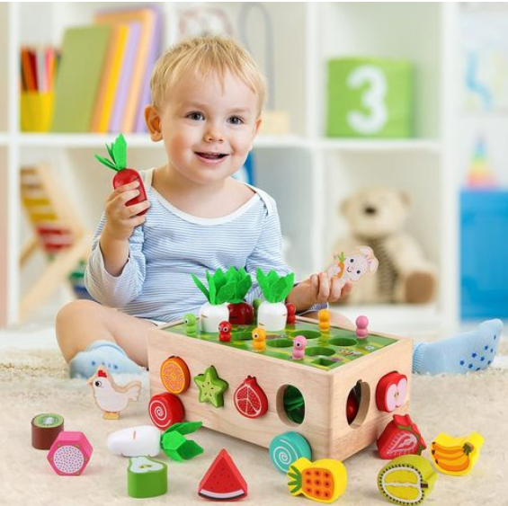 Montessori Wooden Garden Toy