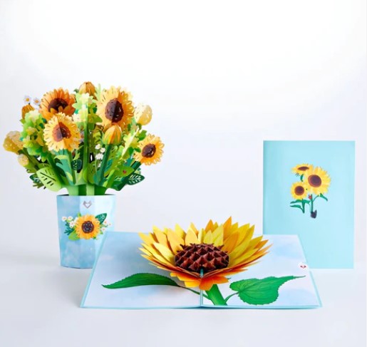 https://storage.googleapis.com/loveable.appspot.com/blog/uploads/2023/05/24003522/Sunflower-Blooms-Bundle.jpg