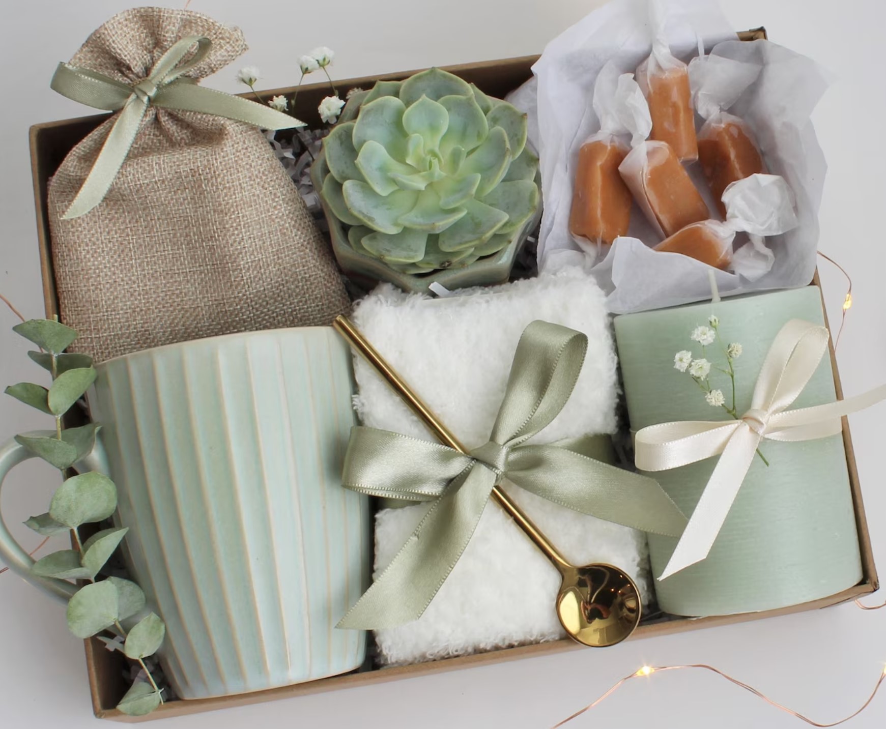 Succulent Box