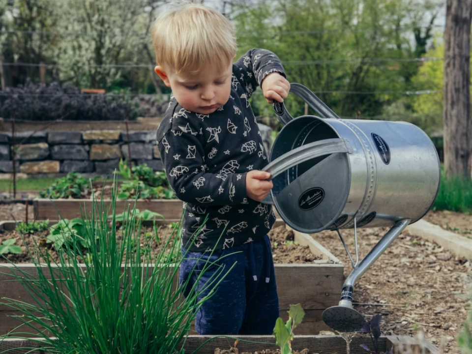 Play with Plants 