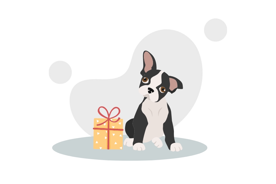 https://storage.googleapis.com/loveable.appspot.com/blog/uploads/2023/06/14111223/boston-terrier-gifts.jpg