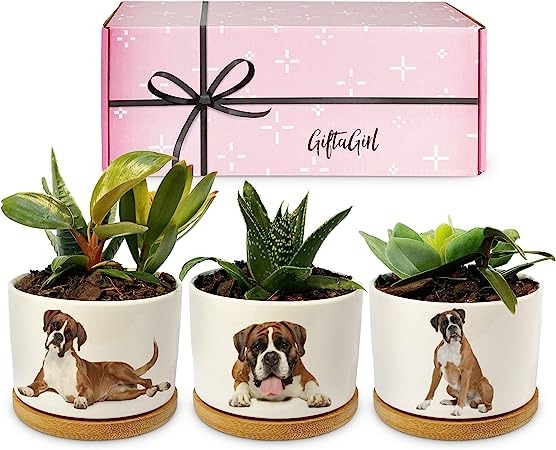 Boxer dog best sale gifts for owners