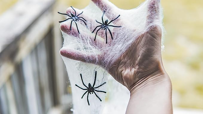 Spider Web Decoration