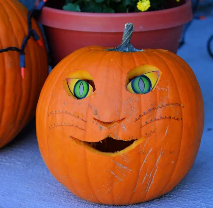 beginner halloween carving ideas