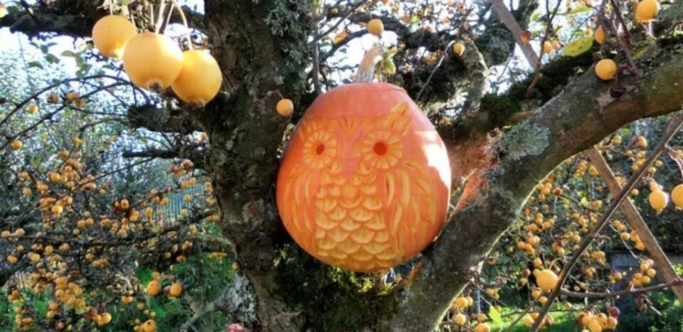 beginner halloween carving ideas