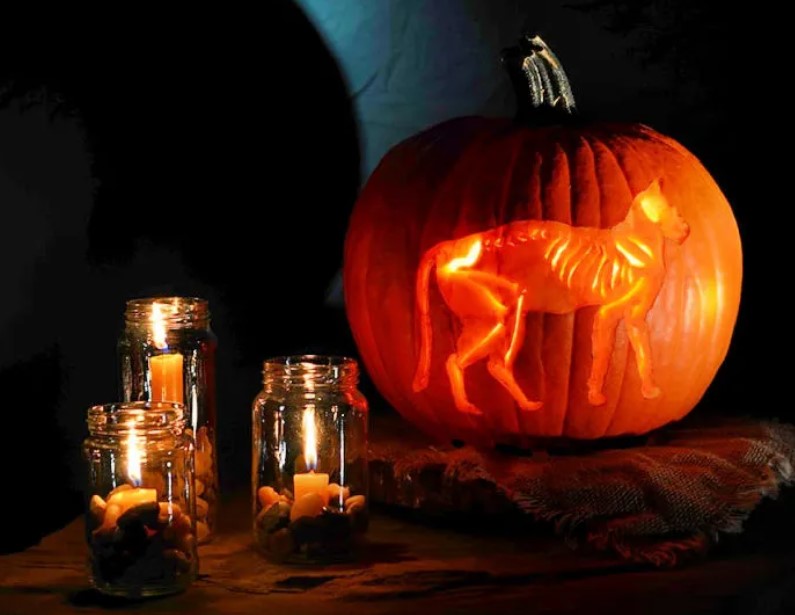 beginner halloween carving ideas