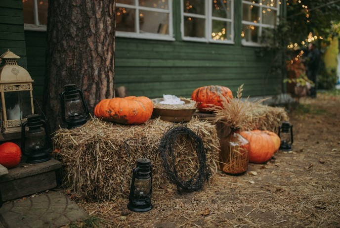 Halloween Tree Decorations 4 