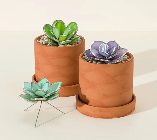 Cactus Tumbler,Cup-What the Fucculent-Cute Succulent Gifts for Women,Plant  Lady Gifts,Cactus Gifts for Gardeners Women,Plant Gifts for Plant