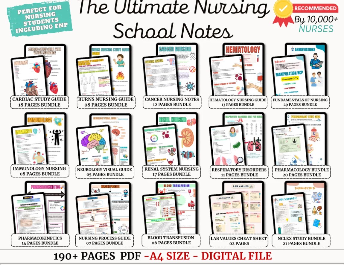 21 Awesome Gift Ideas Nursing Students Will Adore, NurseBuff