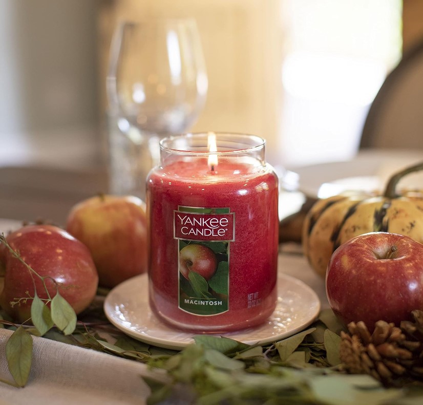 Apple Scented Single Wick Candle