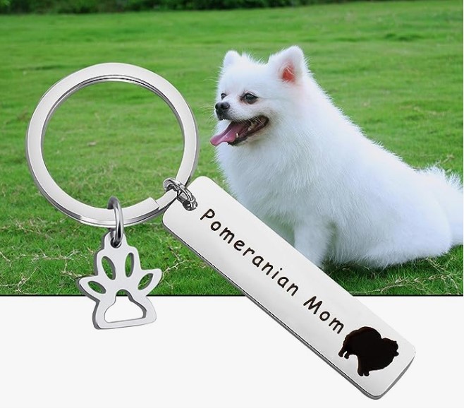 BIG POMERANIAN keychain, gold keychain with pomeranian