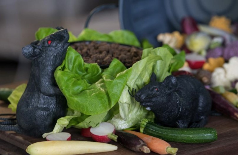 Compost Crudités with Ranch Dirt Dip