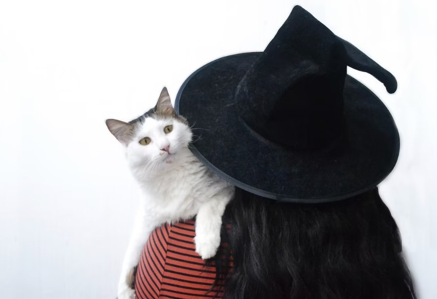 Witch Hat