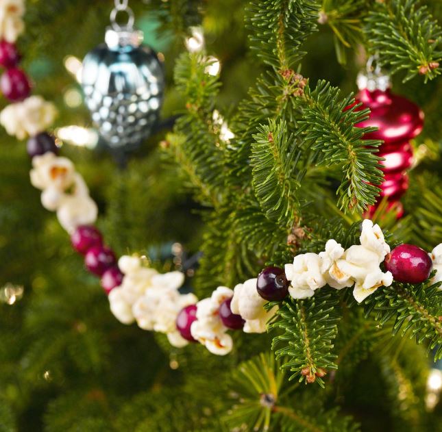 Popcorn-Cranberry Garland