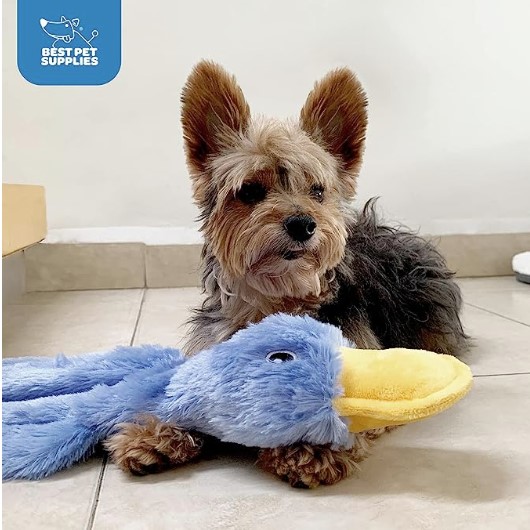 Multipet Duckworth Dog Toy Review: Why I'm ~Pup-Sessed~