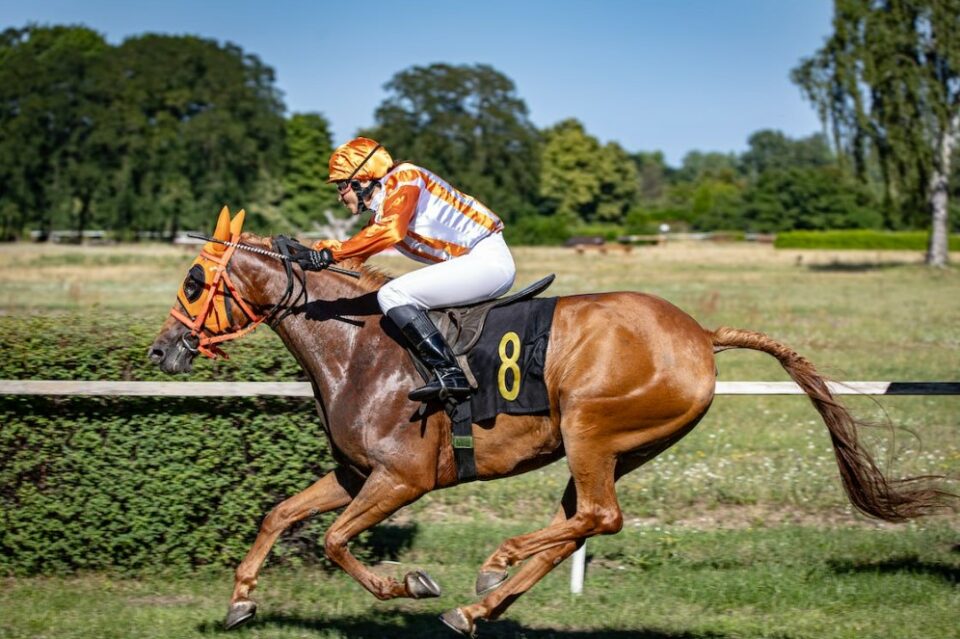 Horse-Races-On-St-Stephen’s-Day