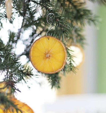 Dry Orange Slice Ornament 