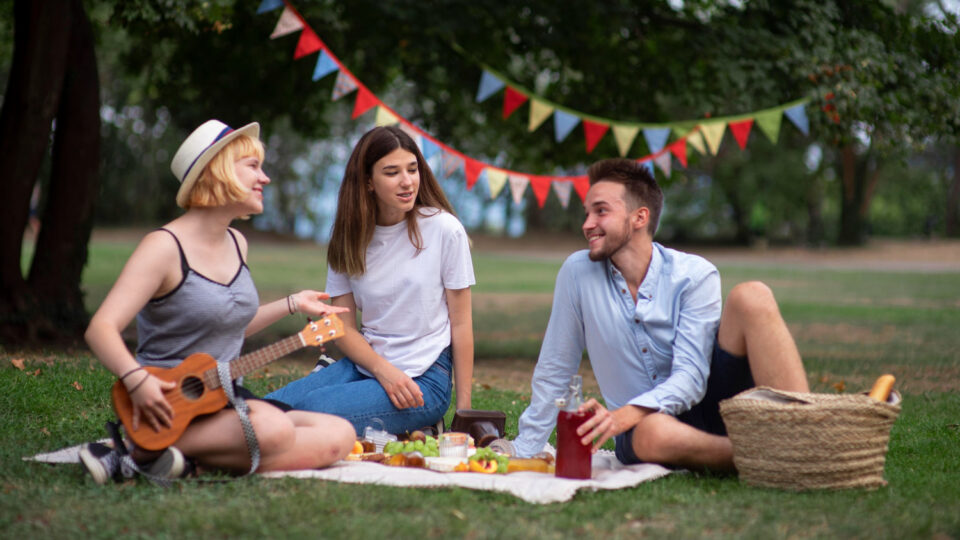 Outdoor picnic
