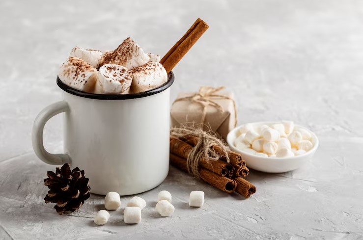 Vegan Peppermint Hot Chocolate