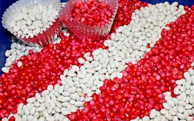 Candy Cane Sensory Bin