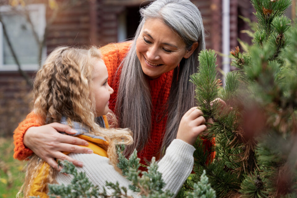 Visit a Christmas tree farm
