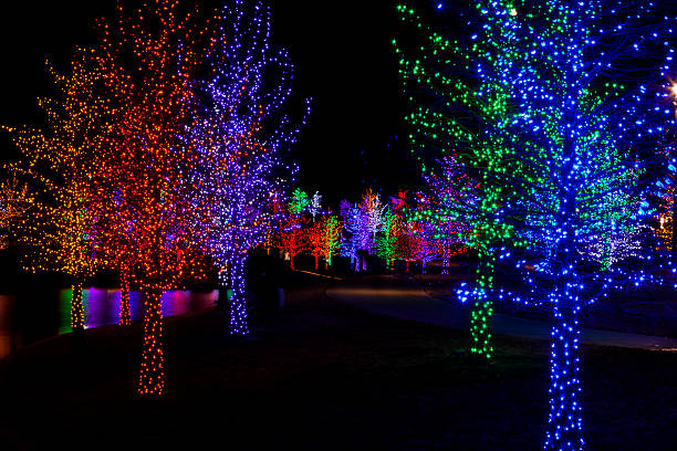 Take Your Kids to Dallas Zoo Lights