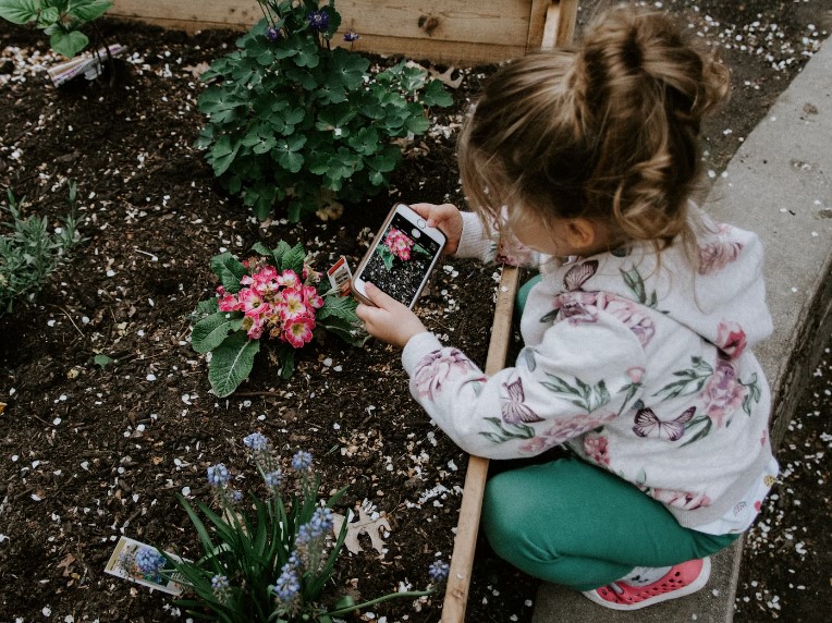 Garden Fairy Gathering