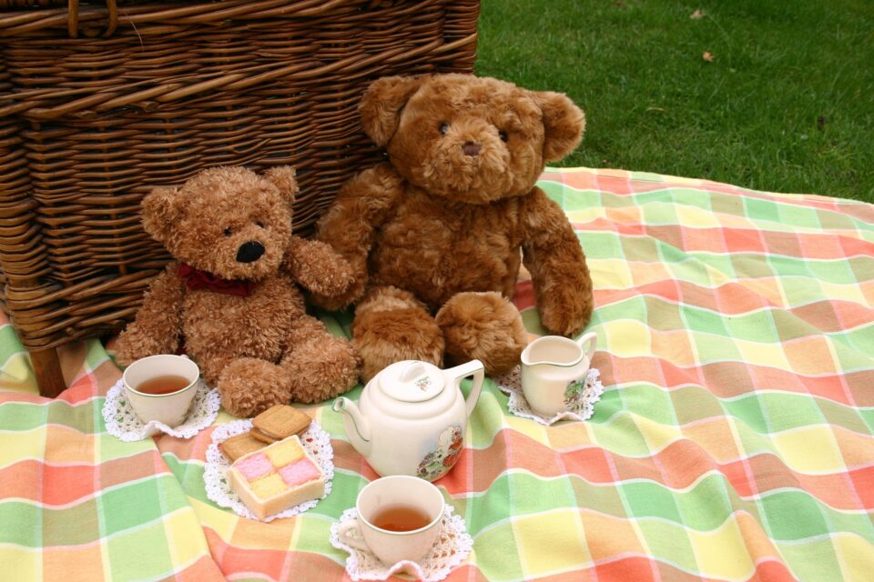 Teddy Bear Picnic Birthday Party