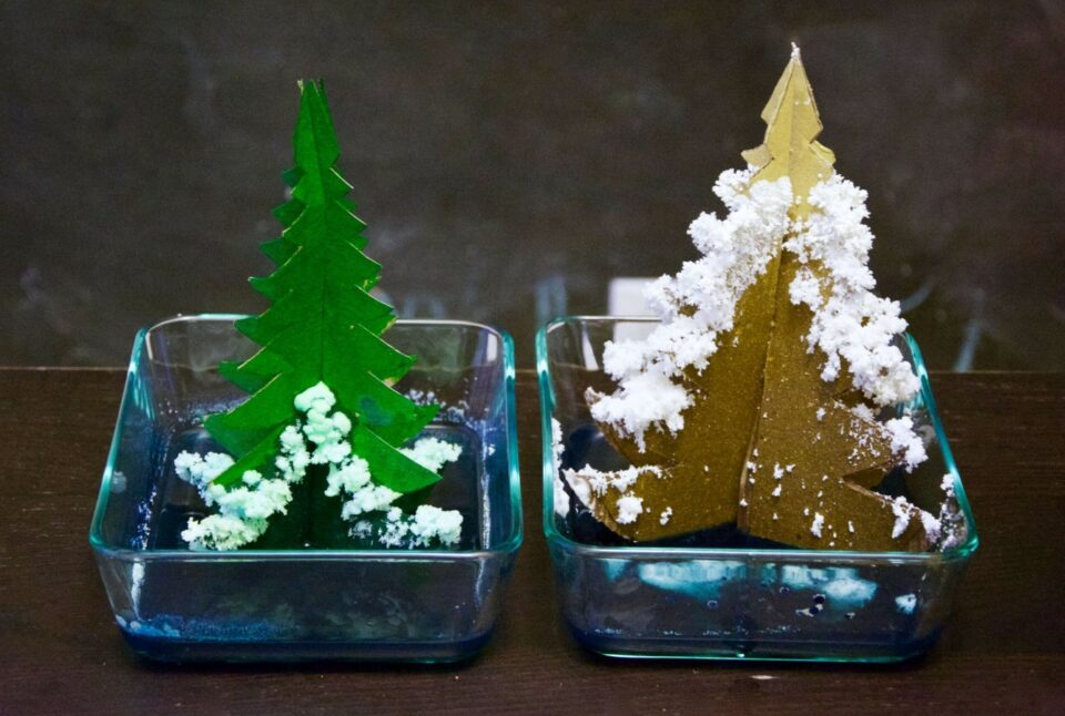 Growing a crystal tree