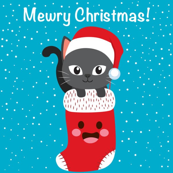 Christmas Stocking Cat