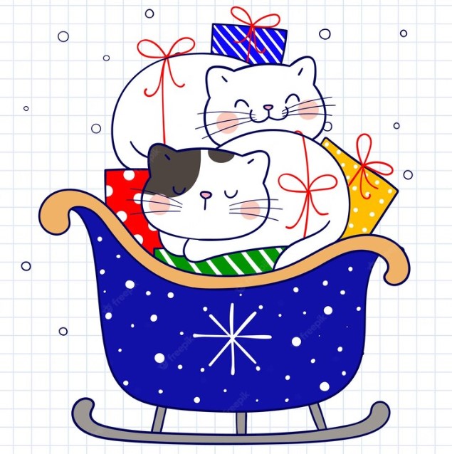 Cat on Sleigh